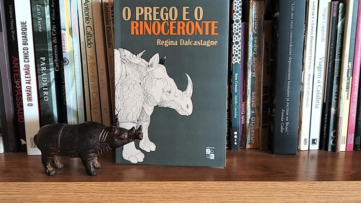 O prego e o rinoceronte – resistências na literatura brasileira, de Regina Dalcastagnè, da Unb