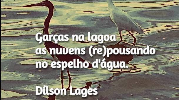 Um dos 164 poemas de Haicais do Sol, de Dílson Lages