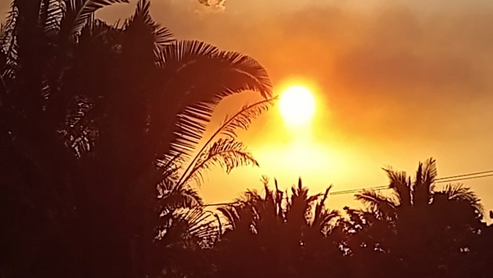 Pôr-do-sol em registro de Dílson Lages