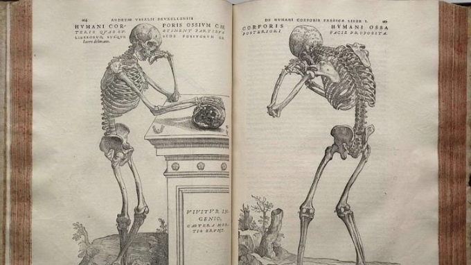 Ilustração: Páginas do livro De Humani Corporis Fabrica Libri Septem, de Andreas Vesalius, publicado em 1543. Pelo que consta, sua capa é antropodérmica.