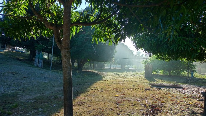 Haibu e haicai: a neblina como tema