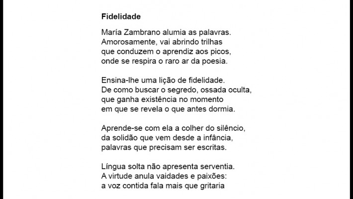 Fidelidade