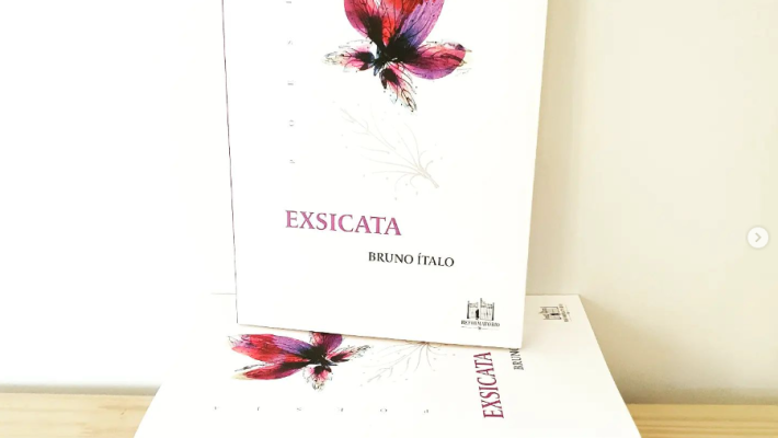 Exsicata – Bruno Ítalo