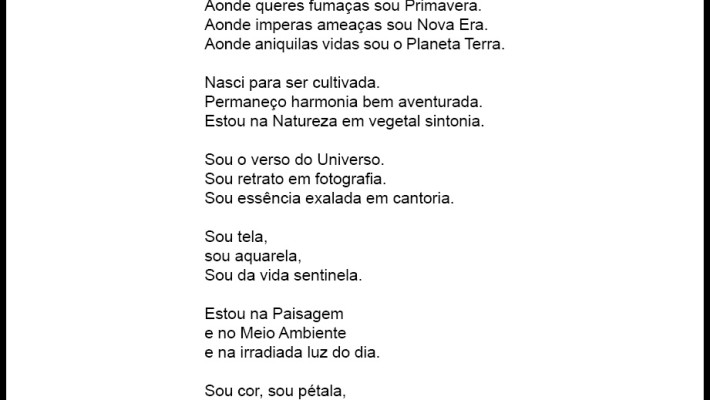 A flor do bem querer