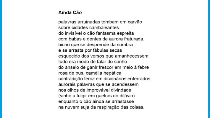 Ainda Cão