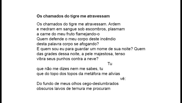Os chamados do tigre me atravessam