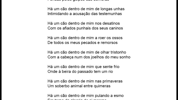 O cão [fragmento]