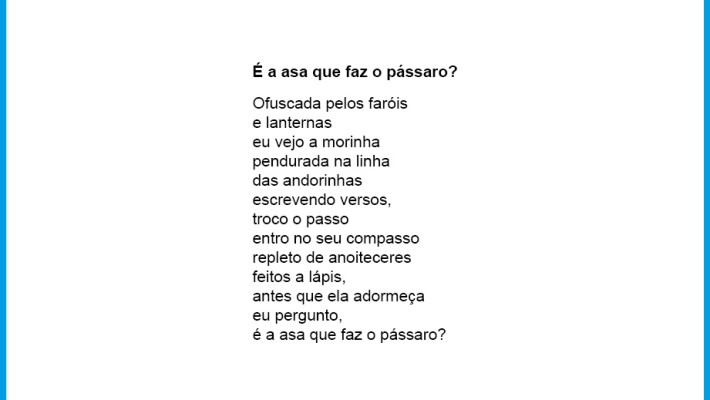 É a asa que faz o pássaro?