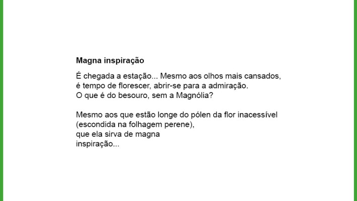 Magna inspiração