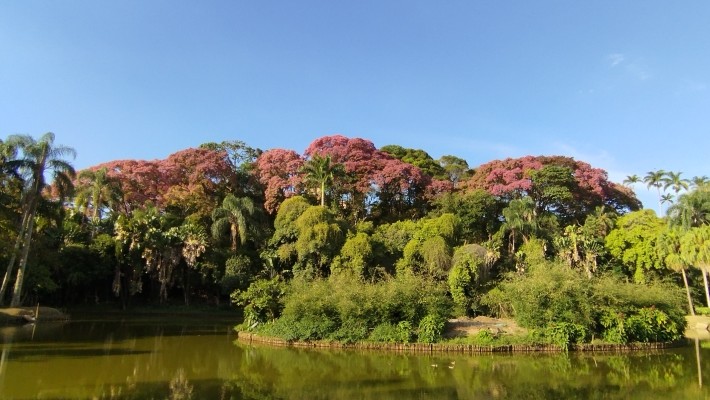Tudo dá uma crônica