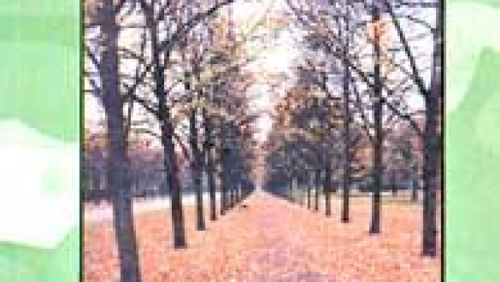 Poemas do livro "a terceira margem sem rio"