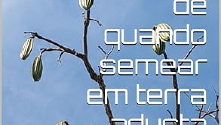 poesia brasileira contemporânea