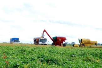 Piauí tem a segunda maior área plantada com soja